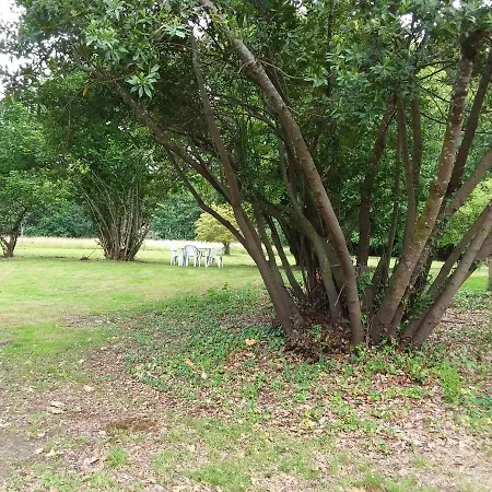 Bed & Breakfast Labastide Villenave
