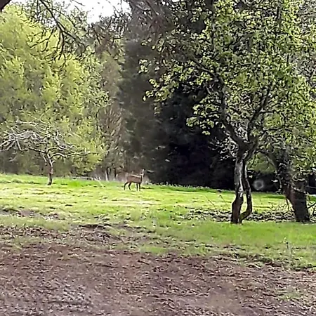 Labastide 3*