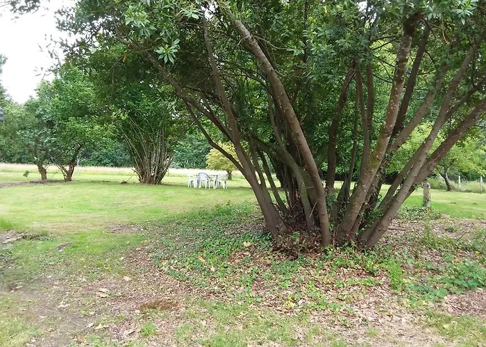 לינה וארוחת בוקר Labastide Villenave