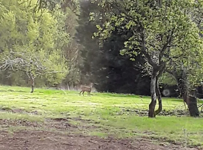 Labastide לינה וארוחת בוקר 3*